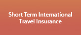 Short Term International